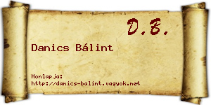 Danics Bálint névjegykártya